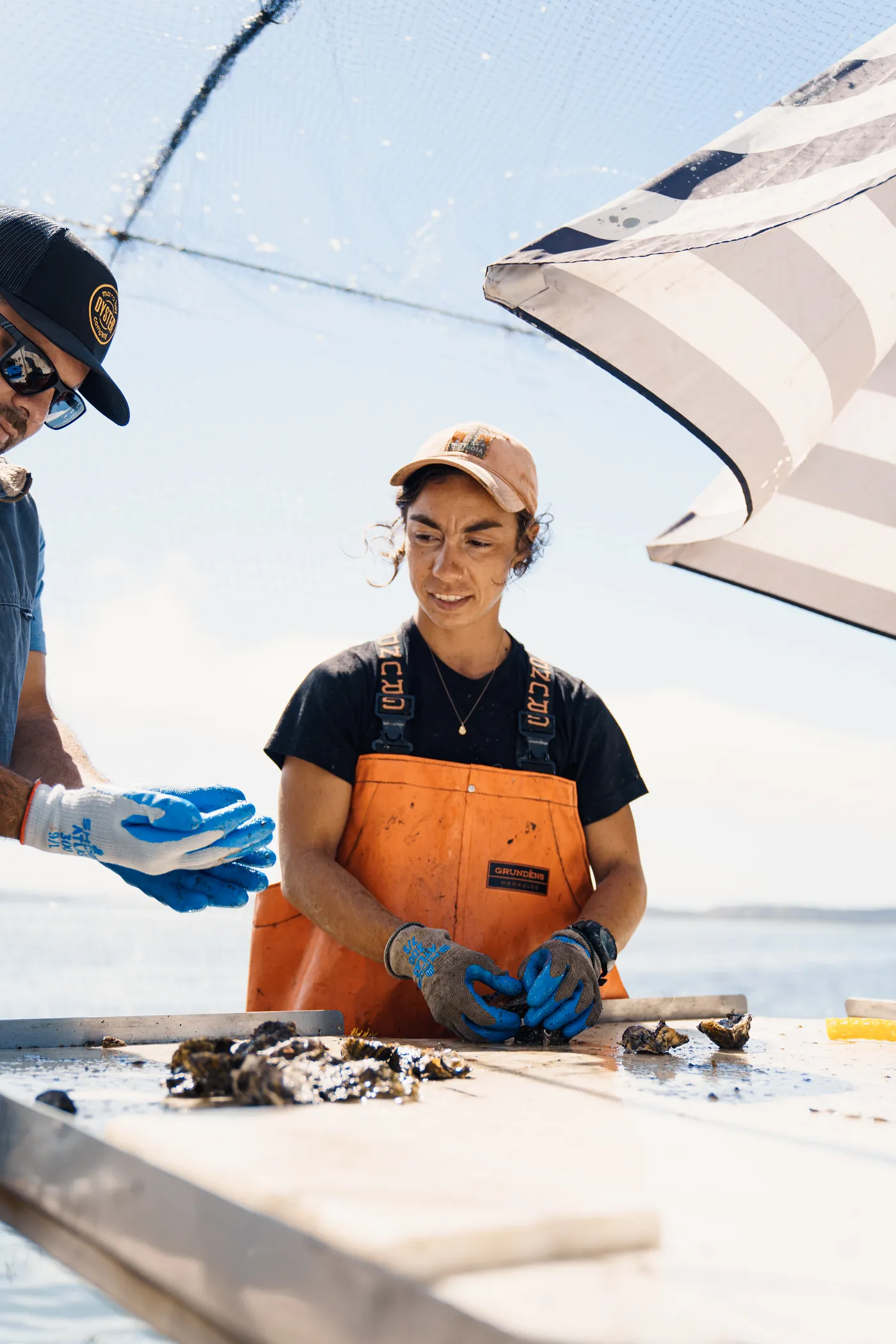 Morro Bay Oyster Company pick through their latest catch