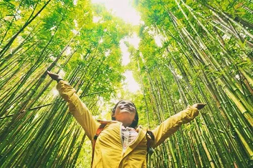 Happy Traveller in a bamboo forest
