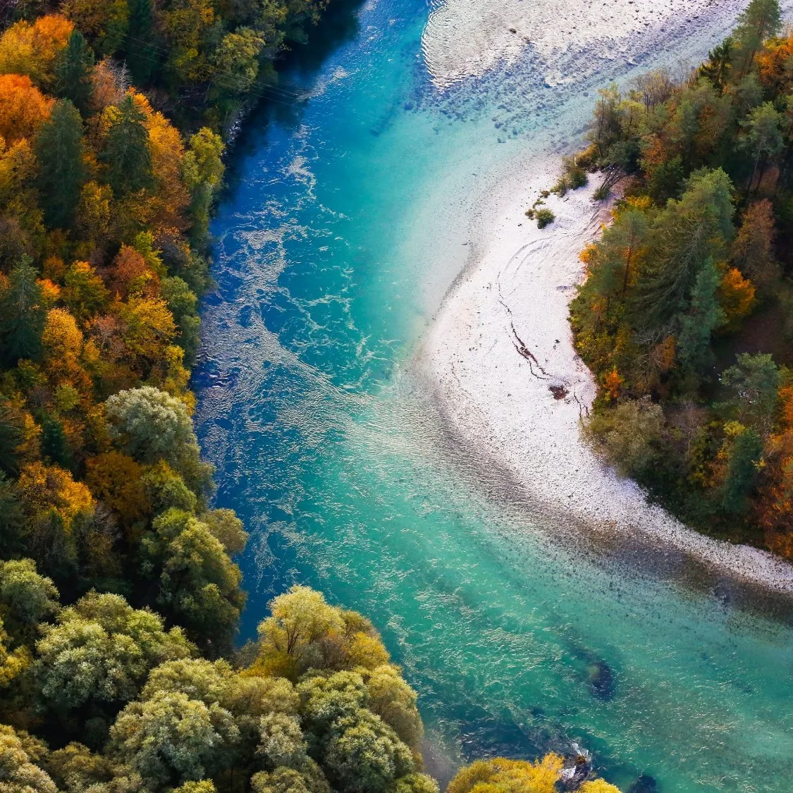Natural landscape during the autumn