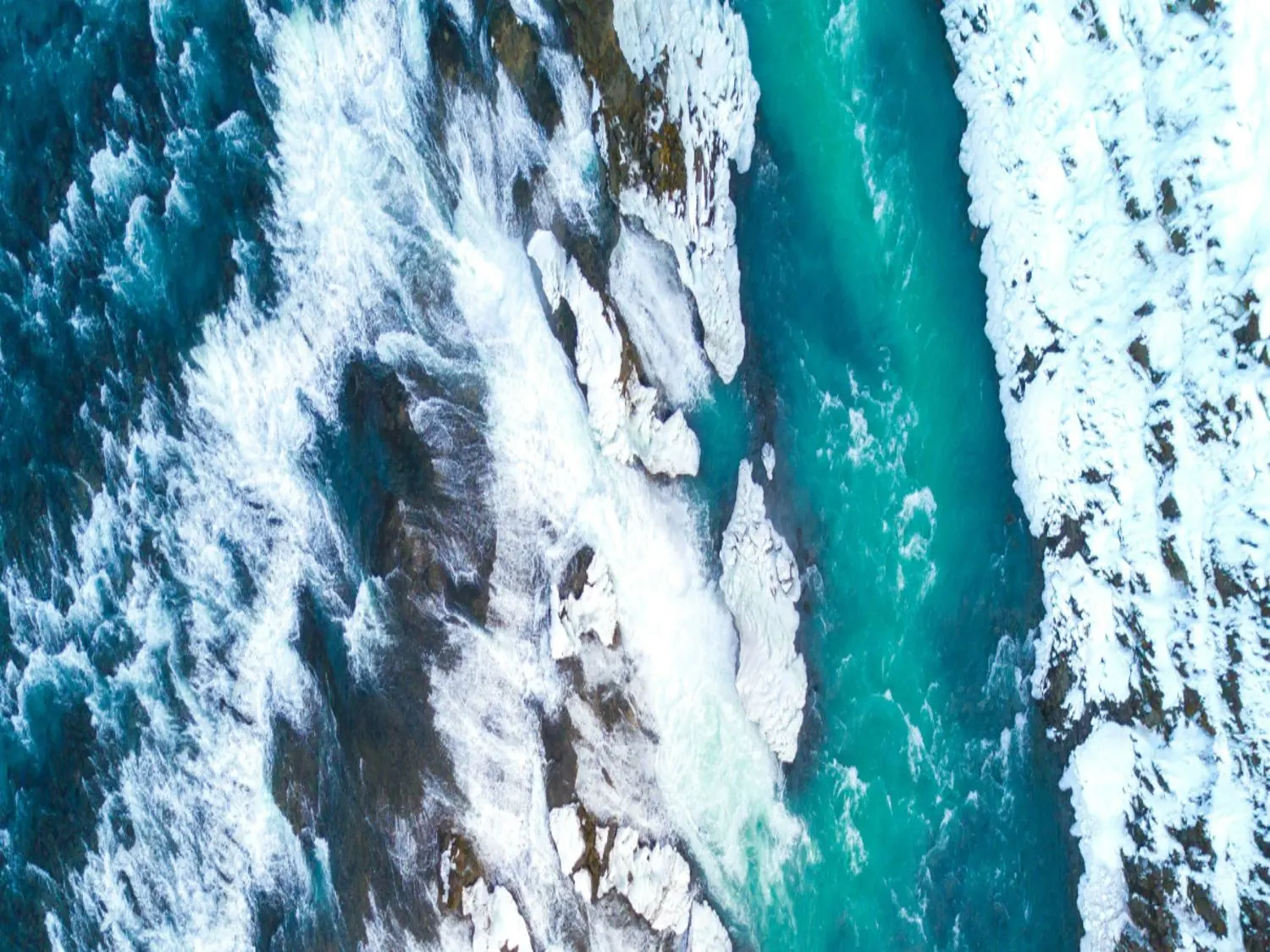 Regenerating Destinations Through Nature Positive Tourism